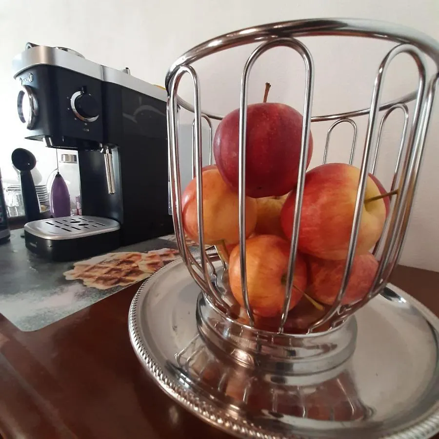Loft Trabucco - In The Heart Of Salo City Center, Lake View, 4 Rooms Apartment